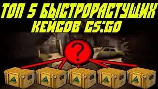 Топ 5 Быстро Растущих Кейсов В CS:GO В 2021 году.Заработок И Инвестиции В STEAM.