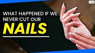 What Happens if You Don’t Cut Your Nails | Letstute