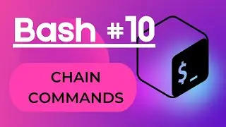 Bash #10 - Combining commands (skip waiting)