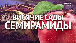 Висячие сады Семирамиды #яблоки #висячие_сады_семирамиды #Гарат #школасорадение