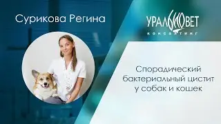 Спорадический бактериальный цистит у собак и кошек. Сурикова Регина 