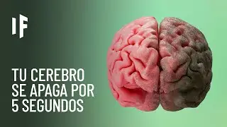 ¿Qué pasaría si tu cerebro dejara de funcionar durante cinco segundos?