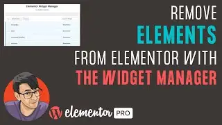 Remove Elements from Elementor with the Free Widget Manager