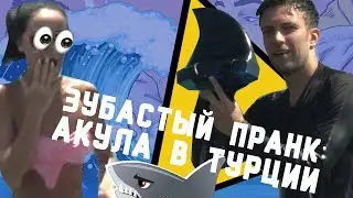 ЗУБАСТЫЙ ПРАНК: АКУЛА В ТУРЦИИ