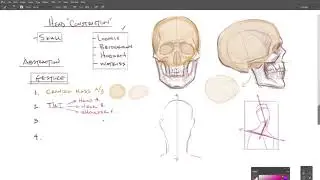 Head Drawing, Part 1: Gesture and Construction