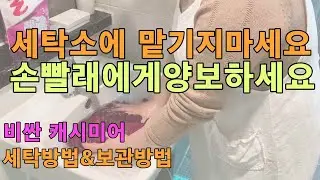 [친절한꿀팁] 니트캐시미어 쉽게 세탁하는방법/딸들에게알려주는빨래팁