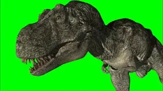 Green Screen T-Rex 4 / T-Rex running / walking in place