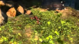 Guild Wars 2 - 