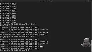 Playing with Split, Cat and Diff in linux using AWS