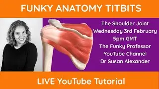 Funky Anatomy Titbits - The Shoulder Joint