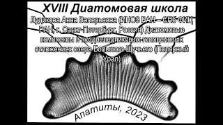 Диатомовые комплексы в позднеледниковых-голоценовых отложениях озера Большого Щучьего