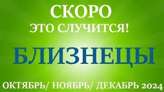 БЛИЗНЕЦЫ♊ОКТЯБРЬ, НОЯБРЬ, ДЕКАБРЬ 2024🌷4 триместр/квартал года! Главные события периода!Таро прогноз