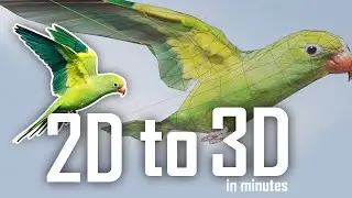modeling, rigging and animating a bird in blender