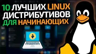 ТОП-10 лучших LINUX дистрибутивов для начинающих в 2021 году