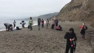 Alamere Falls California 2/2 (Beach view)