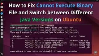 How to Fix Cannot Execute Binary File and Switch between Different Java Versions on Ubuntu