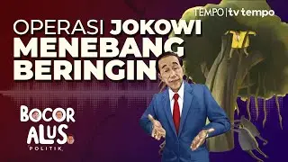 Manuver Jokowi Menggulingkan Airlangga Hartarto untuk Menguasai Golkar | Bocor Alus Politik