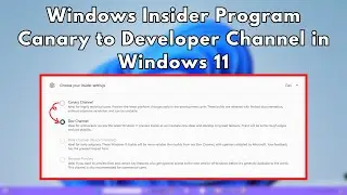 How to switch from Windows Insider Canary Channel to Dev Channel in Windows 11