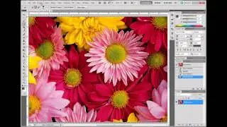 Photoshop CS5: Masking