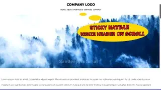Navbar 🔥 | Scroll Sticky 👩‍💻 |  Sticky Navbar - Resizing Header on Scroll - Sticky Header On Scroll