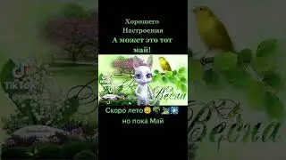 1 МАЯ! ВОТ И МАЙ! ПОЧТИ ЛЕТО!