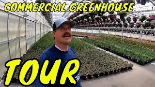 Commercial Greenhouse Tour. Olsons Greenhouse