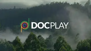 DocPlay: Now streaming in 4K