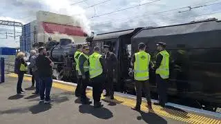 Steam Inc and GVR around the block in Auckland Ja1271