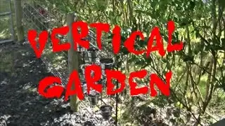 Vertical Garden