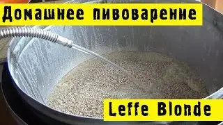 🍺Домашнее пивоварение - Leffe Blonde #Hiking UA