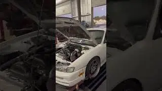 SR20 pulsar turbo dyno