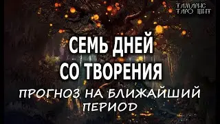 СЕМЬ ДНЕЙ СО ТВОРЕНИЯ 🔥 ПРОГНОЗ НА БЛИЖАЙШИЙ ПЕРИОД🔥💯🔥 ГАДАНИЕ ОНЛАЙН  РАСКЛАД ТАРО