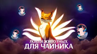 Ловля животных в чайник с помощью сети всевездесущности | Genshin Impact 2.3