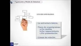 THE ORGANIZATION CHART - TYPES AND RULES OF ORGANIZATION CHART