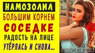 КАК РАДОВАТЬ СОСЕДОК В СВОИ 60? Интересные истории из жизни. Аудио рассказы Теща Сладкая