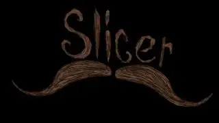 Slicer Intro
