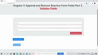 Angular Dynamic Fields Validation Working Demo