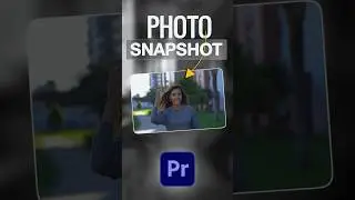 Snapshot Photo Freeze Frame effect in Premiere Pro 