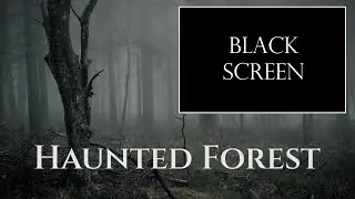 Haunted Forest - Ambience (no music) - sounds of a misty creepy forest - 9h black screen version