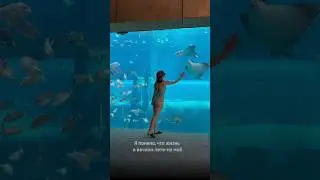Что я поняла за месяц жизни в Дубае