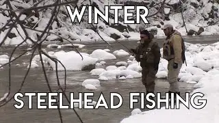 Winter Steelhead Fishing