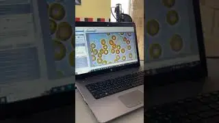 Влияние на кровь серы лиственницы / СМОЛКА / ЖИВИЦА