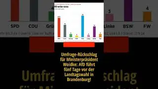 Umfrage-Rückschlag für MP Woidke: AfD führt fünf Tage vor der Landtagswahl in Brandenburg!