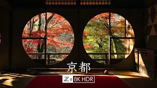 【8K HDR】京都之秋 ｜ Nikon Z9 演示片｜Links