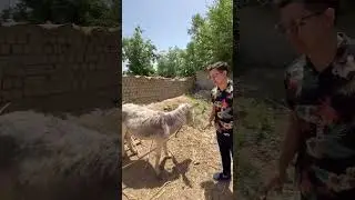 Tredn yopildi😂