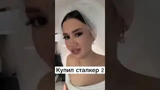 Пов: купил сталкер 2..