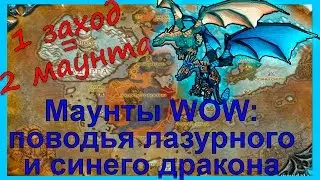 Маунты World of Warcraft Поводья лазурного и синего дракона