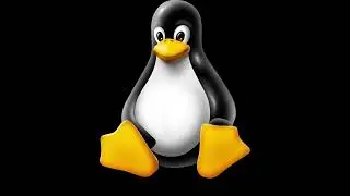 Linux is NOT for everyone. This video explains why.