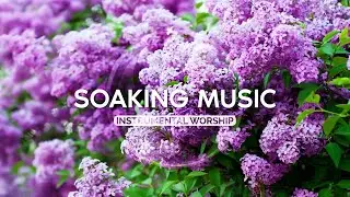 Soak 3 hours • Calm Music • For Staying in the Glory of God