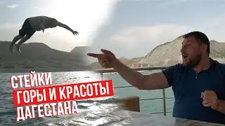 Правильный ОТДЫХ в Дагестане! Шахбанова Зайнаб кто это?! сулакское водохранилище и СТЕЙКИ